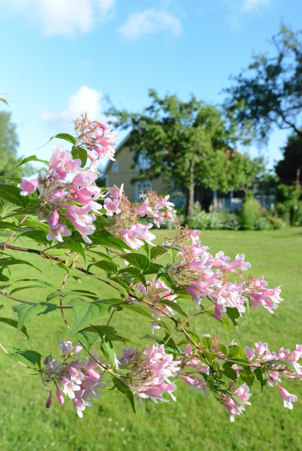 Romantiska Trädgården Jardin Göteborg Houzz 