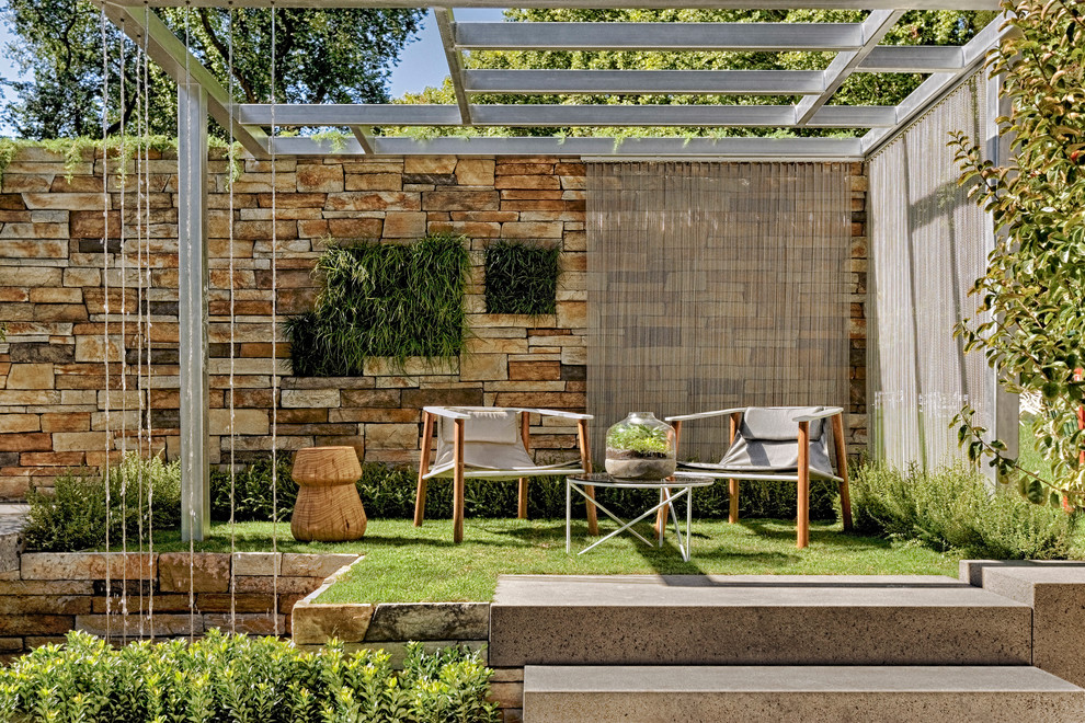 This is an example of a mid-sized contemporary backyard garden in Melbourne.