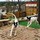 laura_gorham55