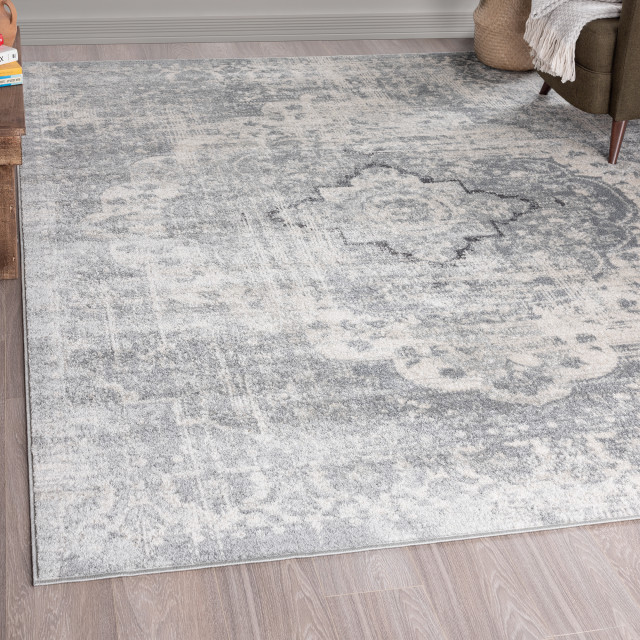 Britney Traditional MedallionArea Rug, 8'x10' - Contemporary - Area ...