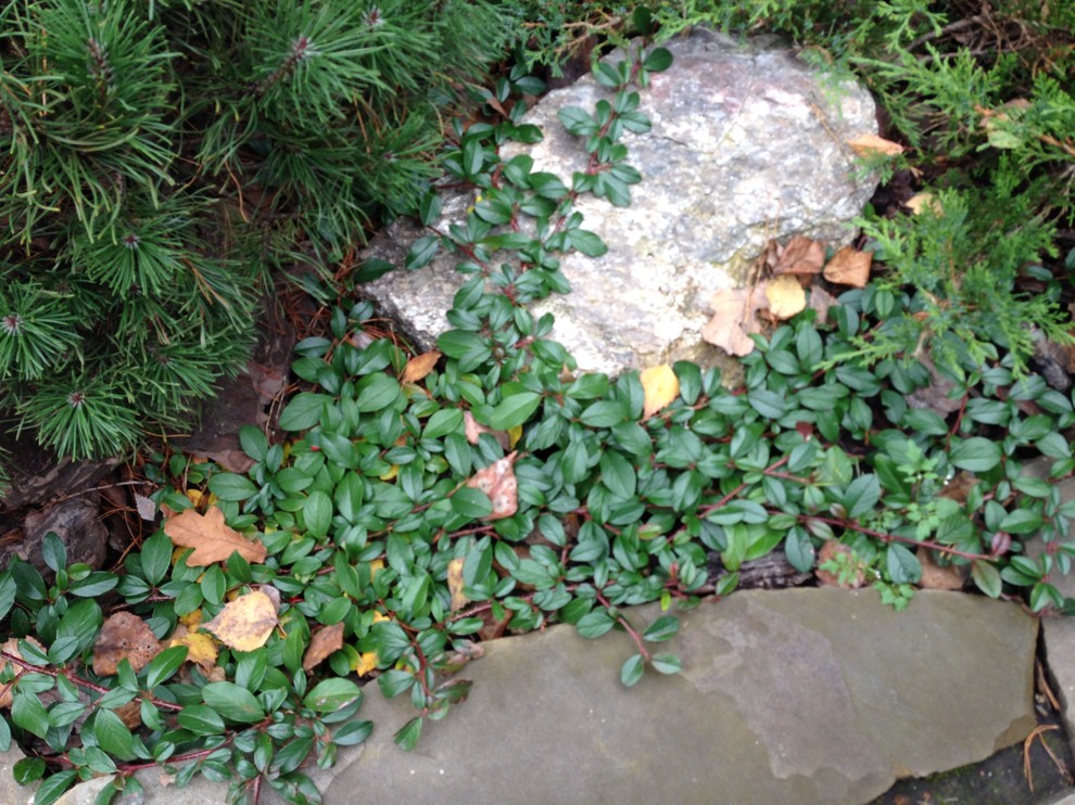 Успенское шоссе РИИТА