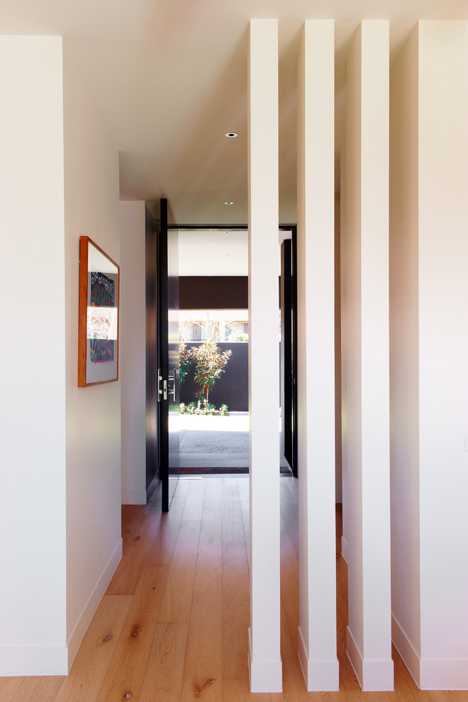 Photo of a large contemporary entry hall in Melbourne with white walls, medium hardwood floors, a single front door and a black front door.