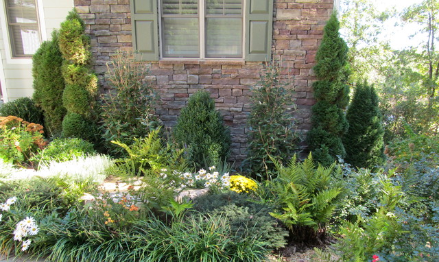 Client Work 