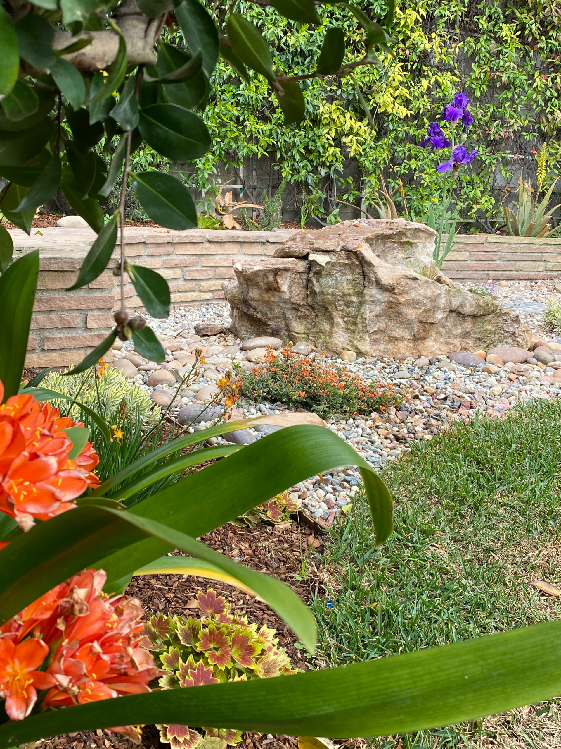 Hermosa Beach: Pollinator Garden