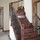 Midwest Custom Stairs & Woodworking