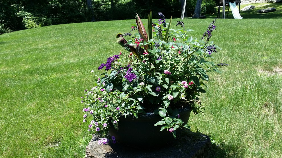 This is an example of a small country backyard partial sun garden for summer in Other with a container garden.