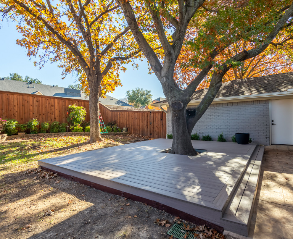 This is an example of a medium sized contemporary back ground level terrace in Dallas with no cover.