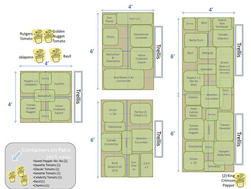 companion planting garden layouts