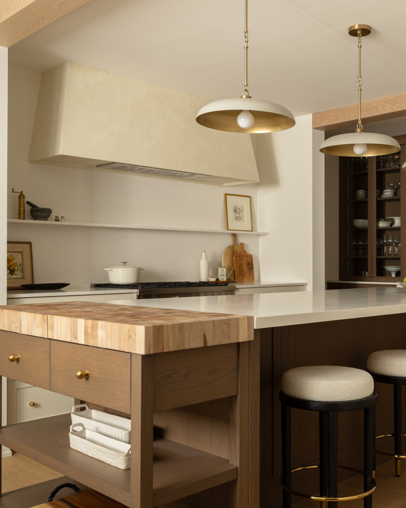 Transitional kitchen photo in Toronto