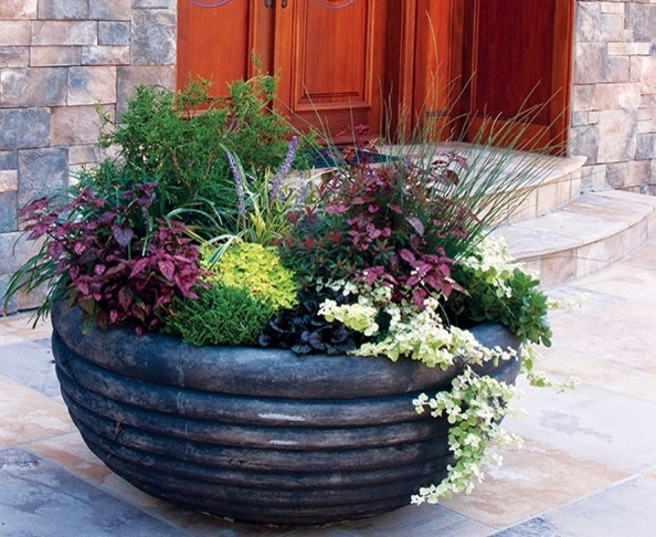 Container Gardens, Planters, Urns, Window Boxes
