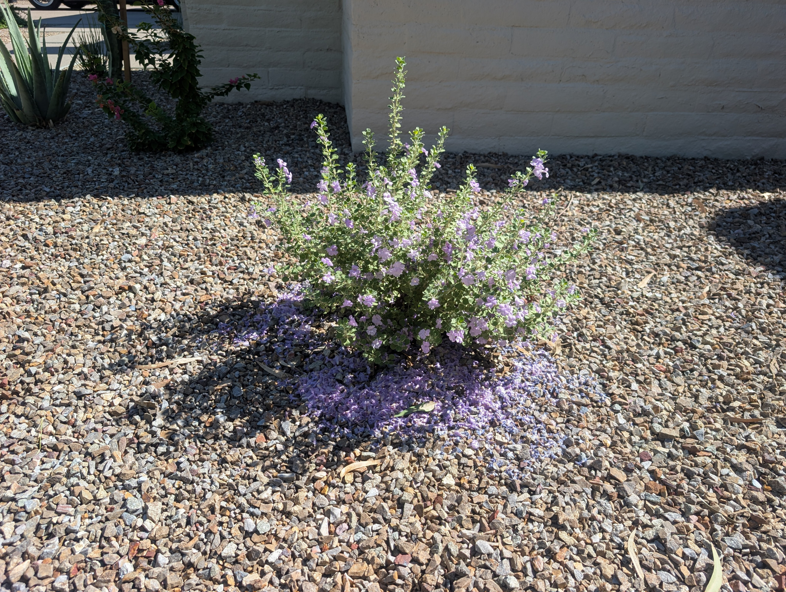 Private Residence 81