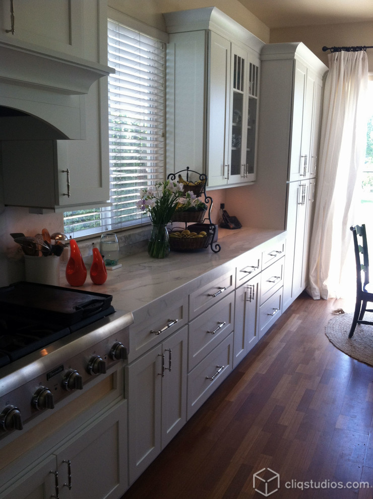 Kitchen - transitional kitchen idea in Chicago