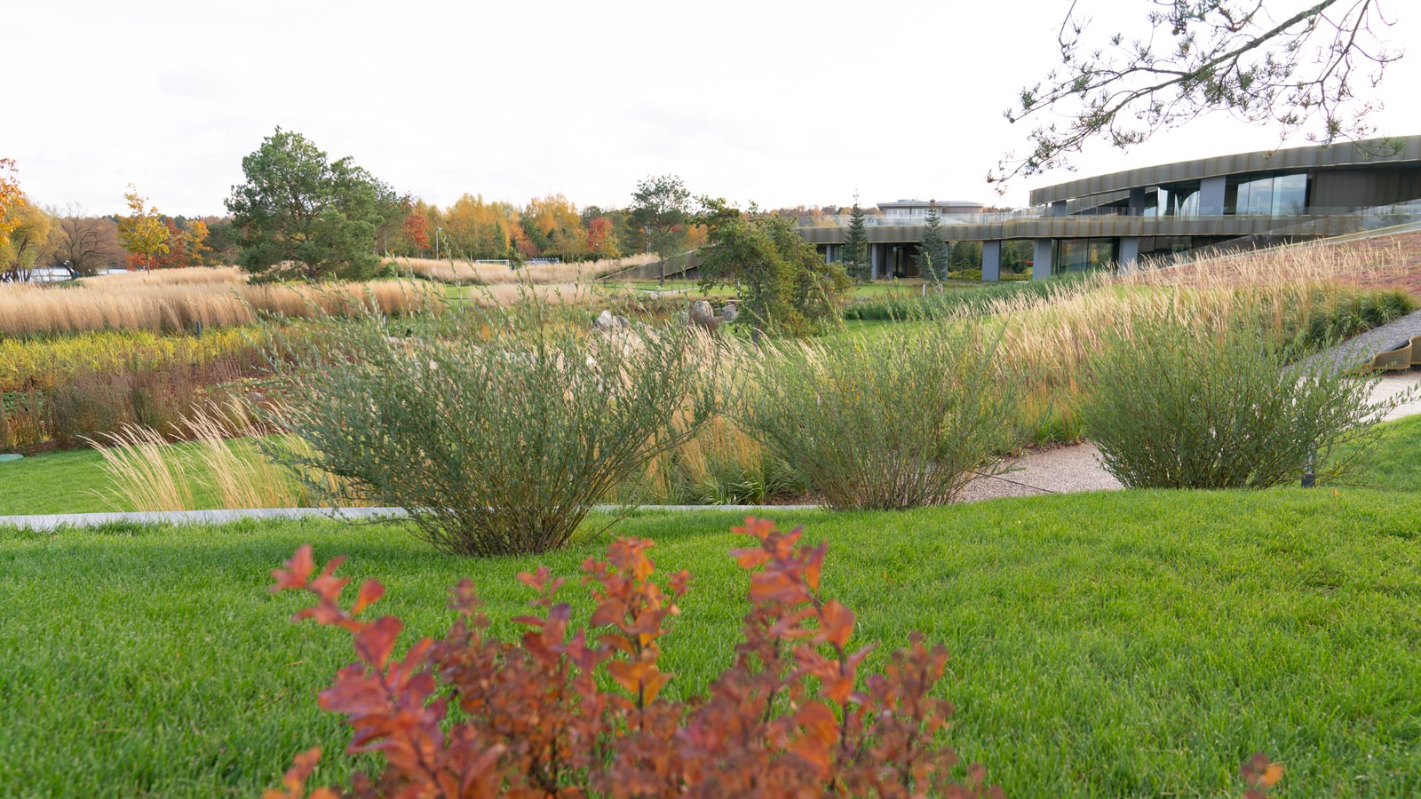 Природный сад. Жуковка XXI век. 2017-2018 гг.