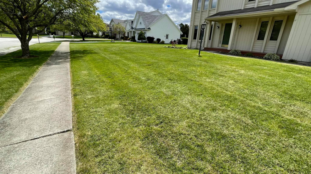Landscaping