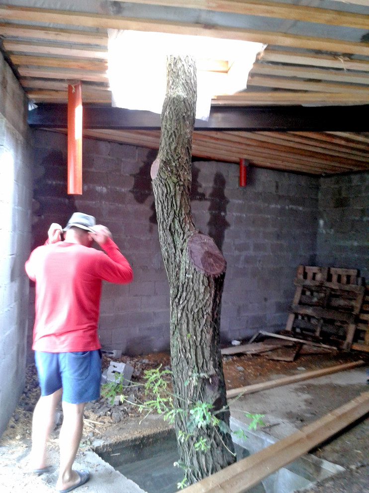 С любовью к природе