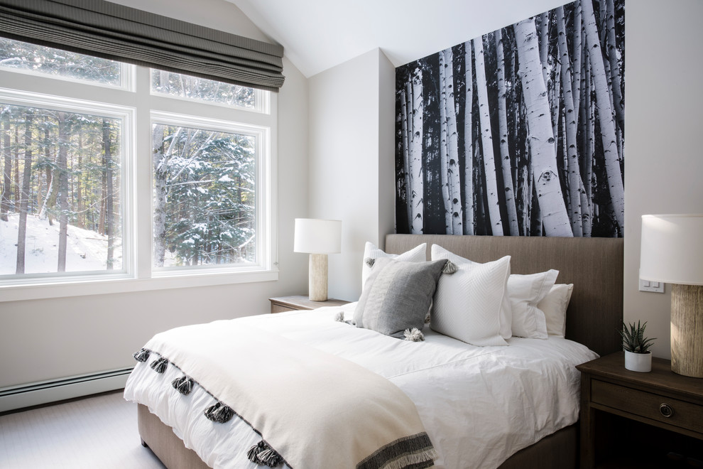 Inspiration for a transitional master carpeted and gray floor bedroom remodel with gray walls