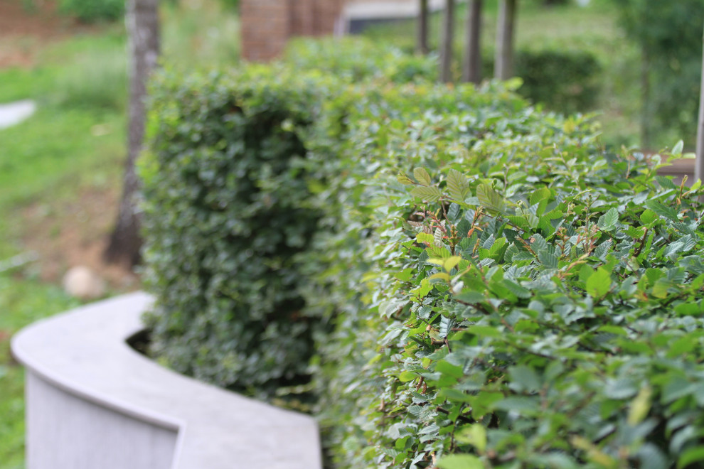 Сад четырех стихий