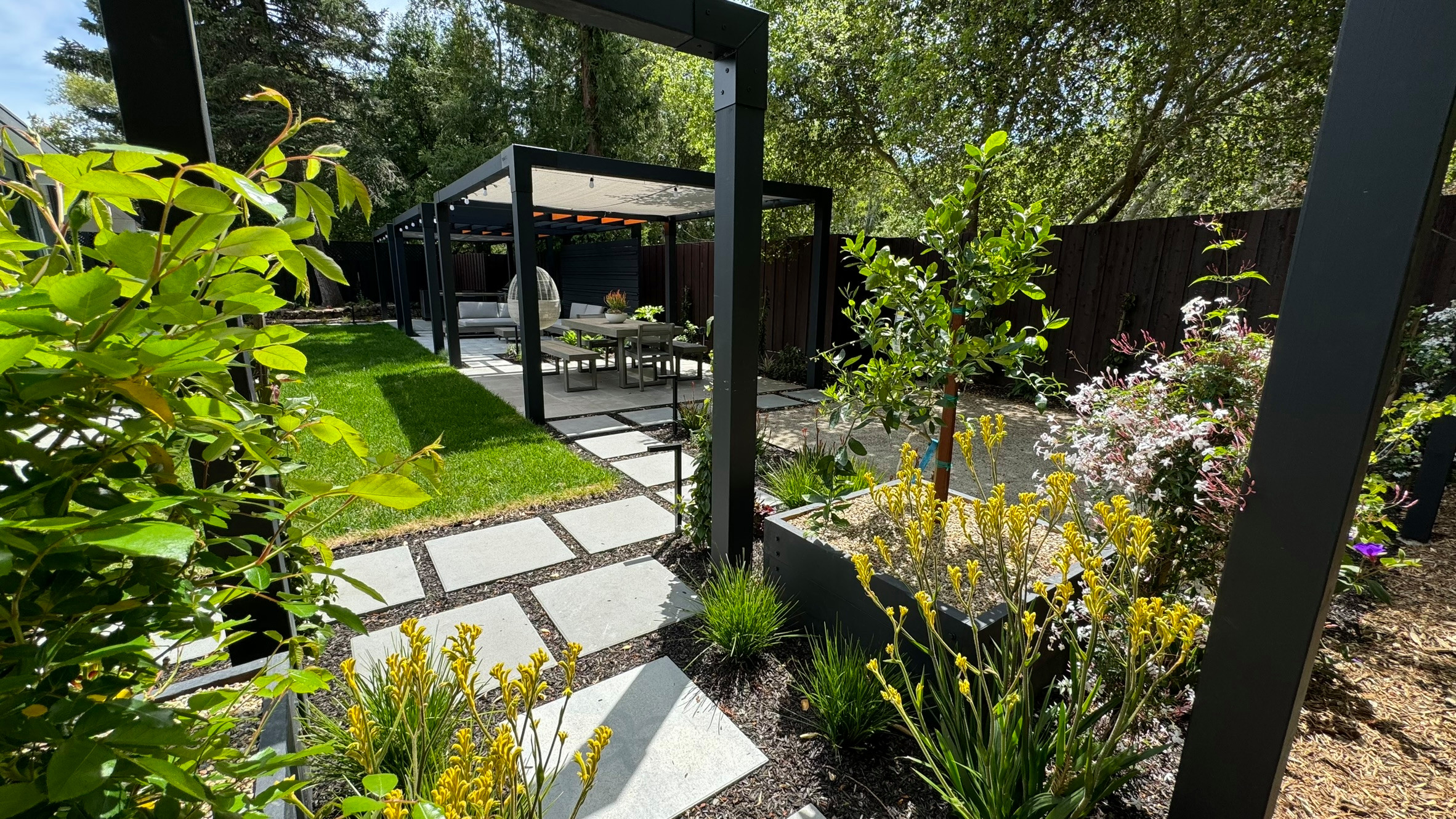 Contemporary Eichler Backyard Remodel