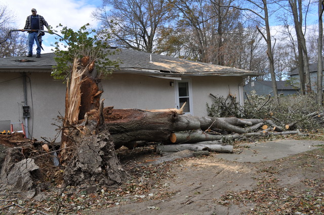 Hurricane Sandy 
