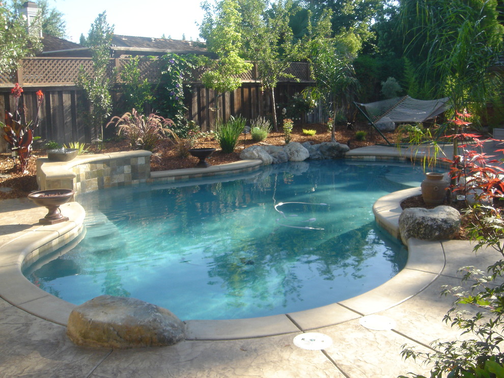 Contemporary pool in Sacramento.