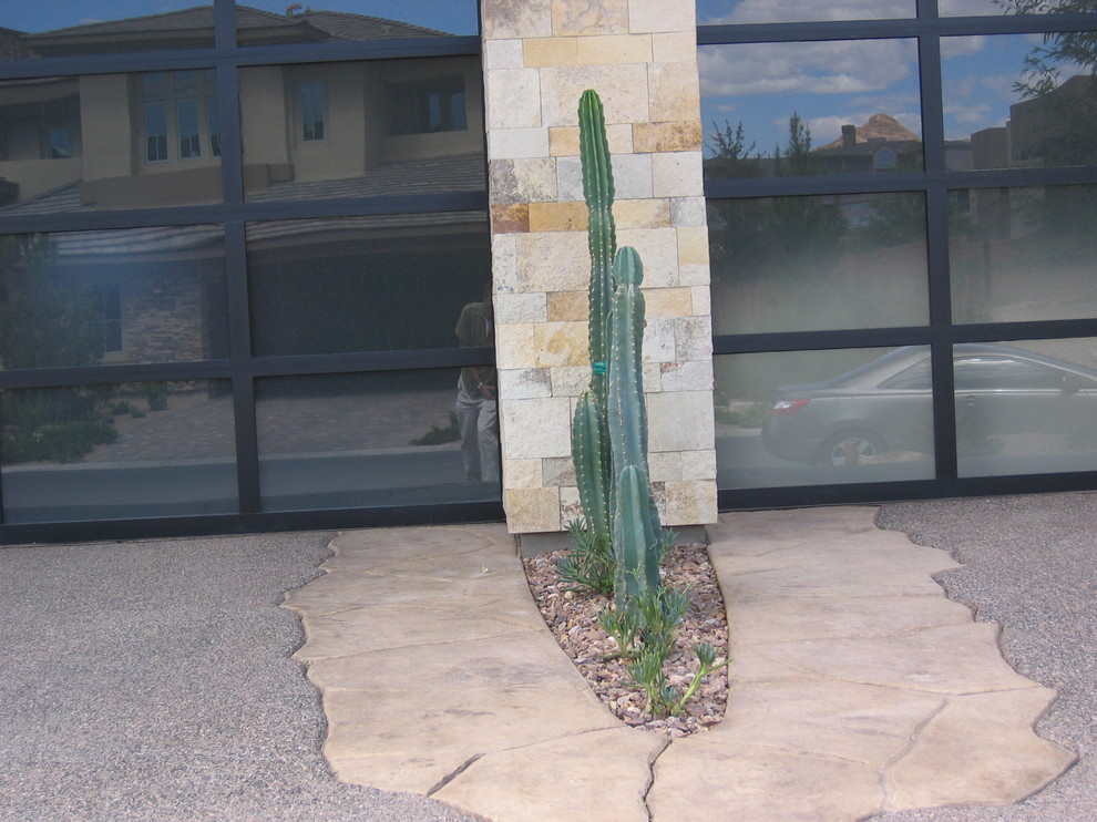 This is an example of a modern garden in Las Vegas.