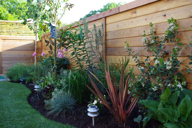 Contemporary Landscape contemporary-garden