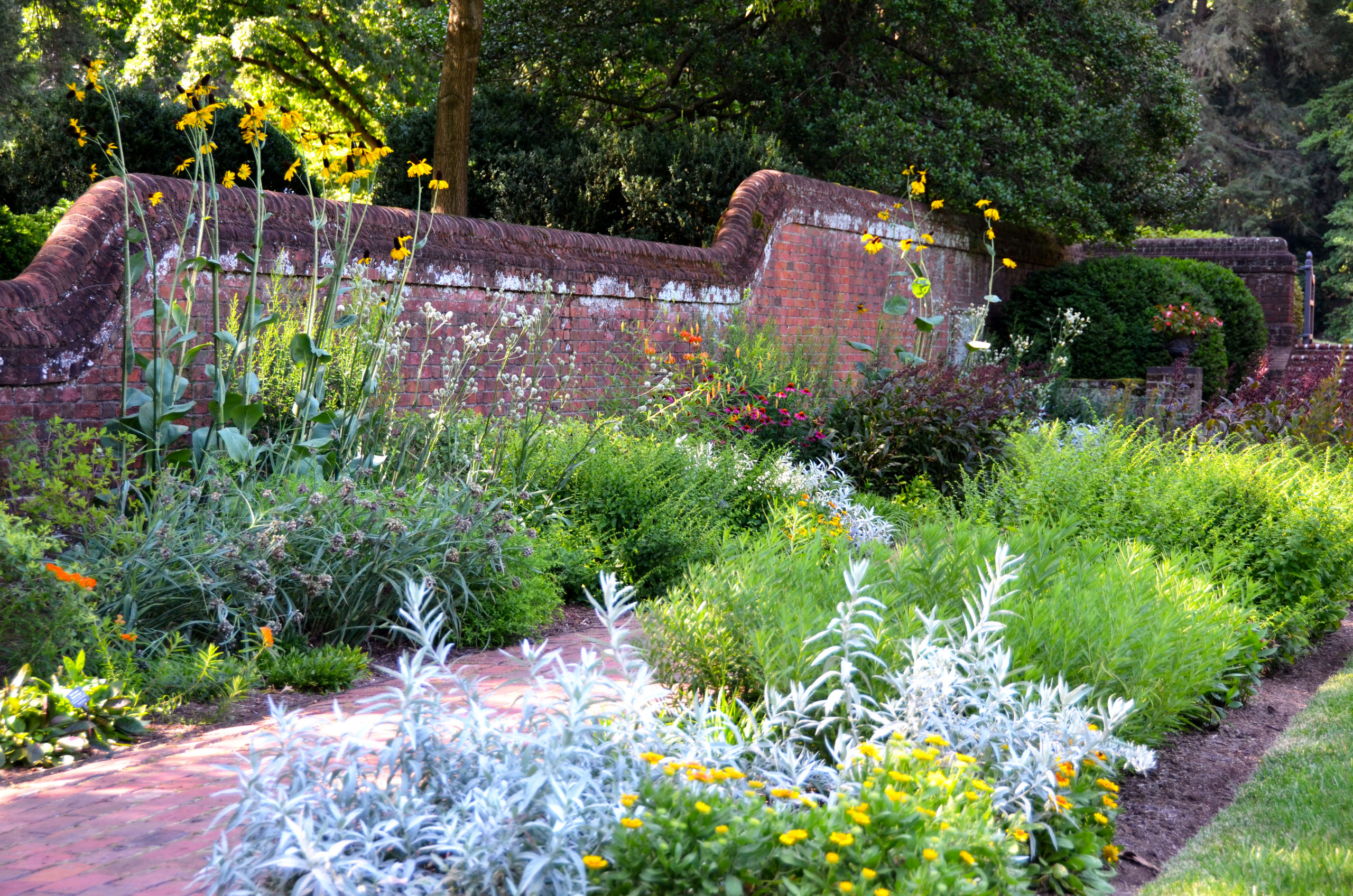 Native Gardens Outgrow Their 'Messy' Reputation