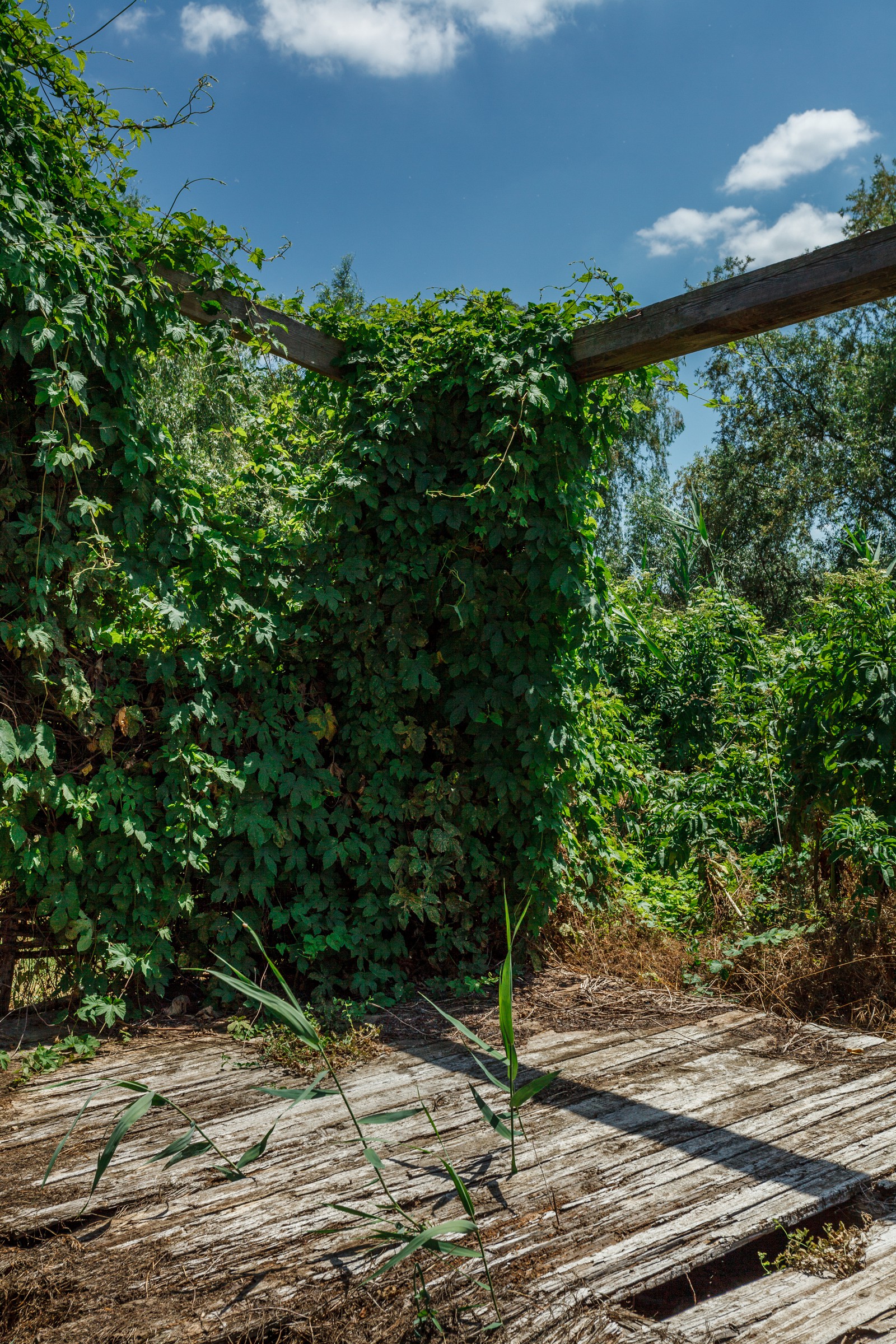 Бассейн в пригороде Краснодара