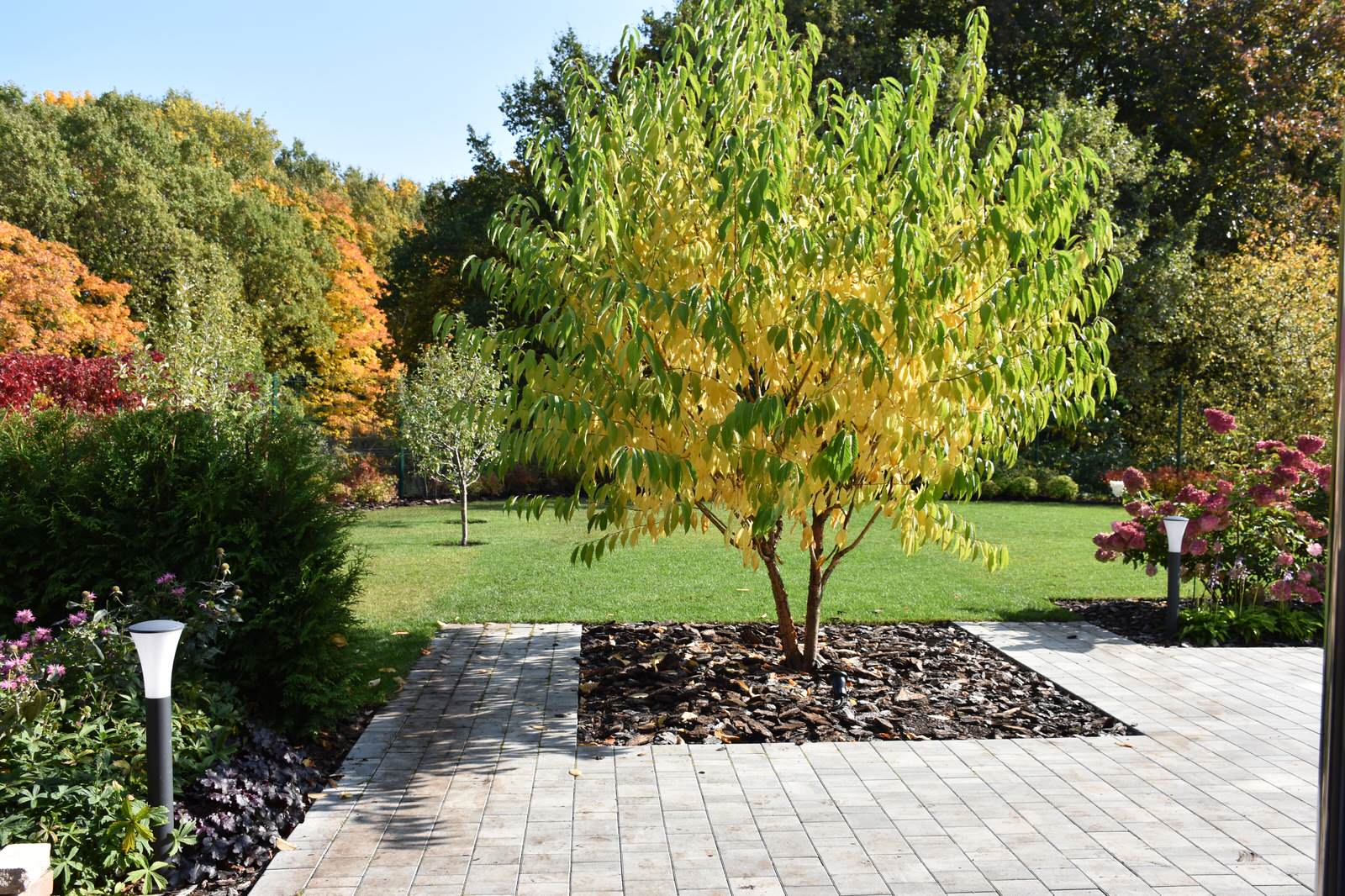 Игра в геометрию