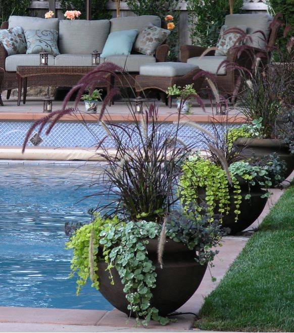 Inspiration for a traditional pool in San Francisco.