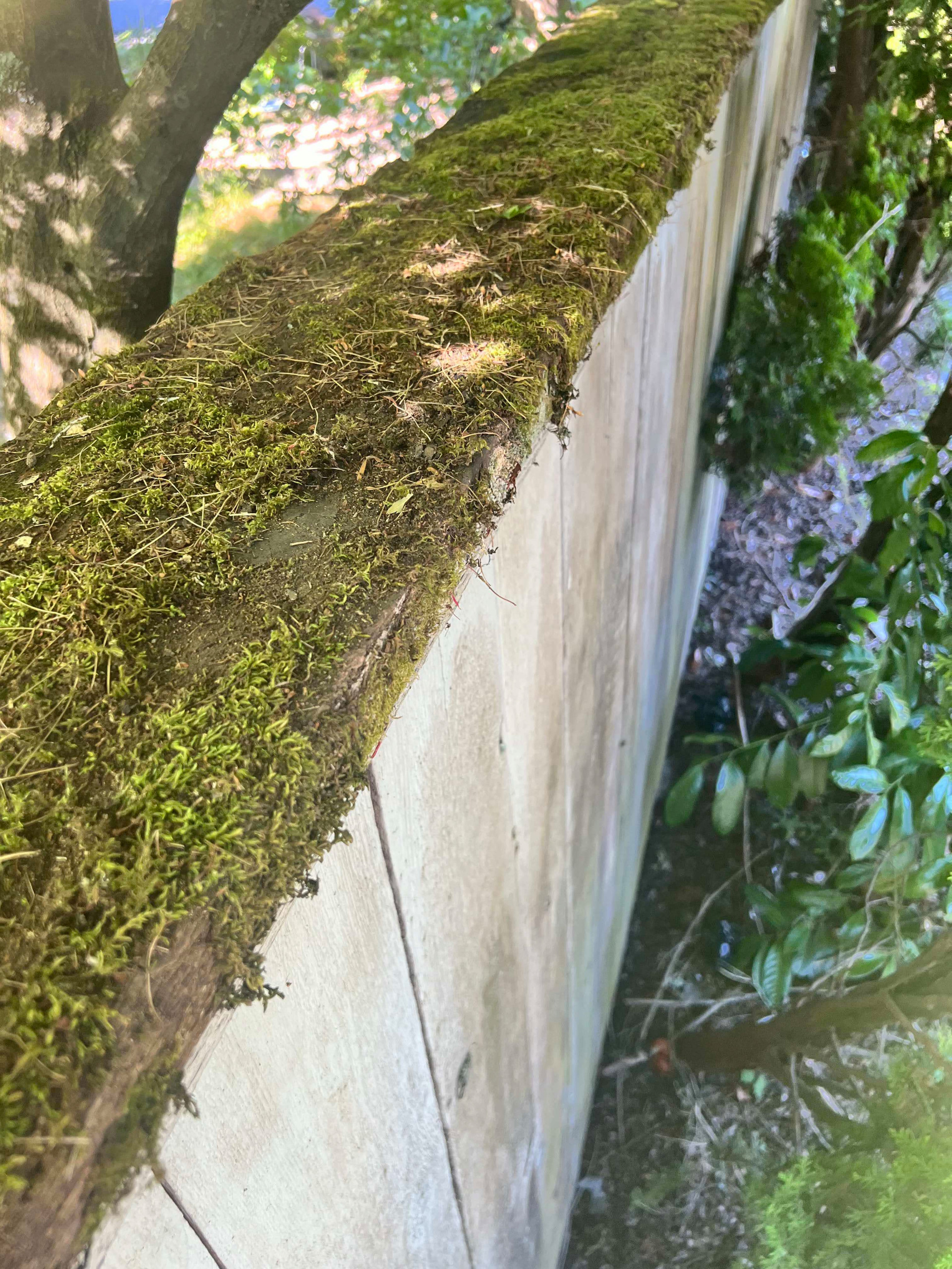 Exterior House Painting