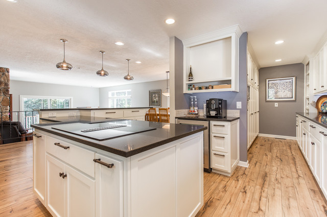 Michaelson Kitchen contemporary-kitchen
