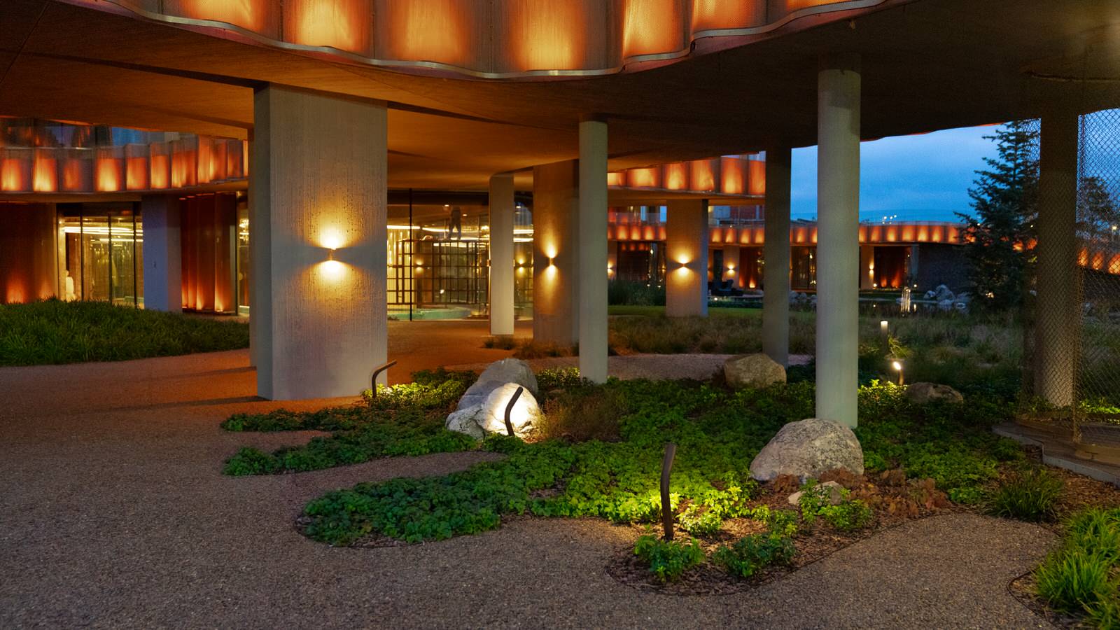 Природный сад. Жуковка XXI век. 2017-2018 гг.