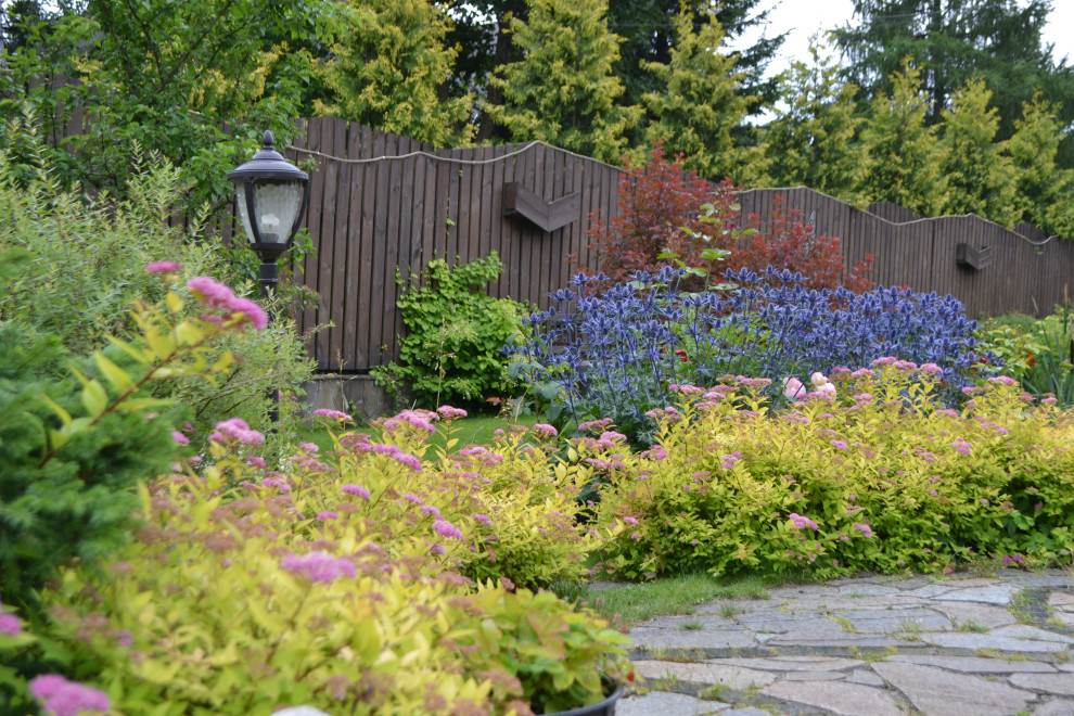 Бордюр из японской спиреи