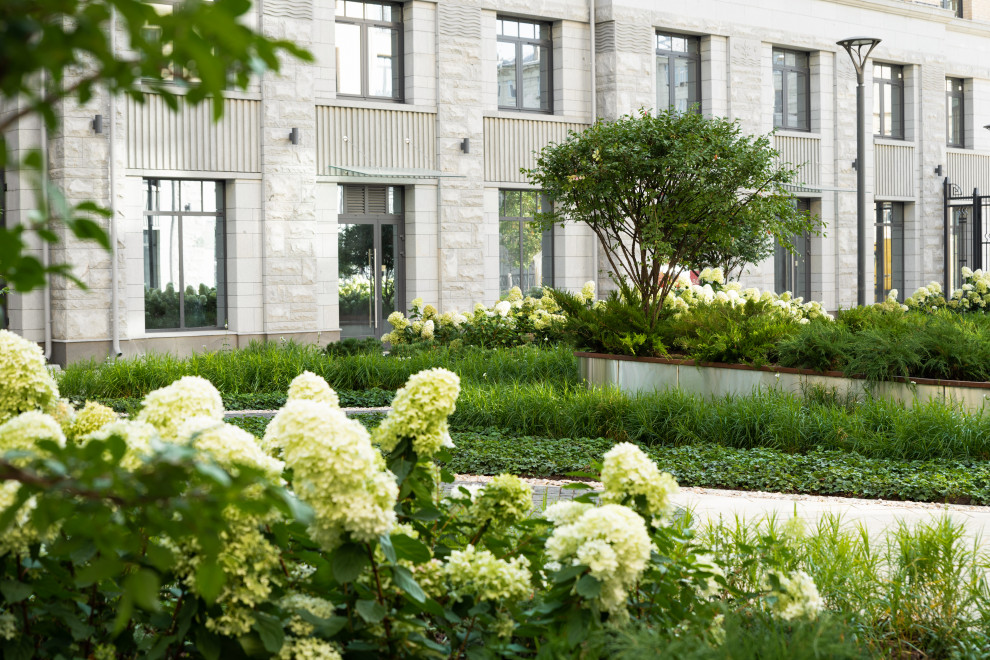 Северная корона