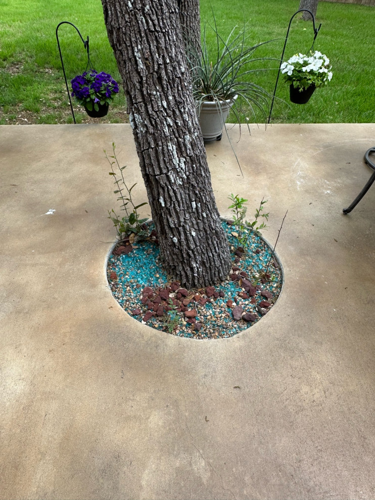 fill or covering for trees?