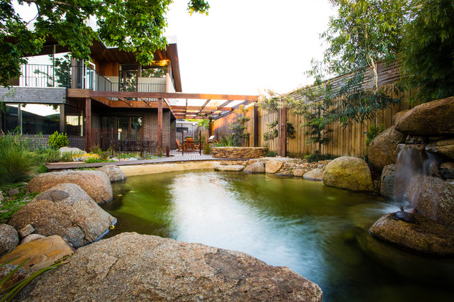 Natural Pool pool
