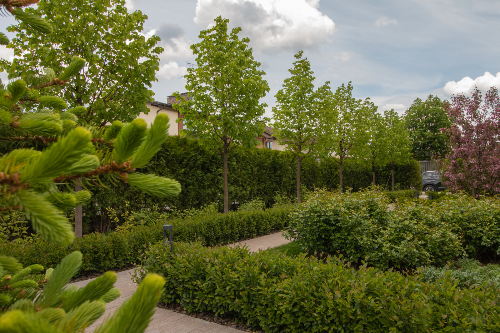 Опушкино_2019