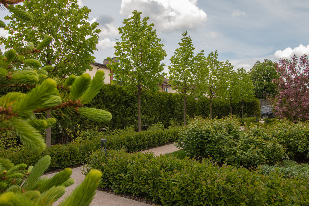 Опушкино_2019