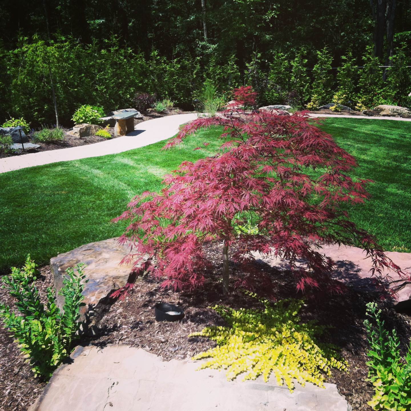 backyard landscape waterfall,paver patio with paver pathway