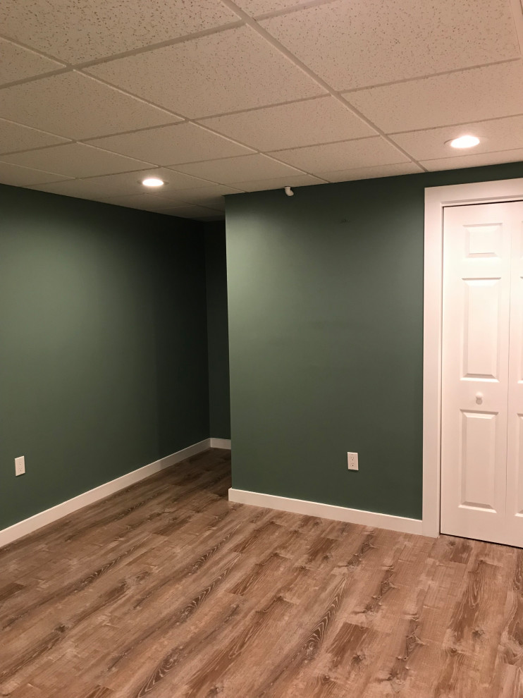 Basement - transitional basement idea in New York