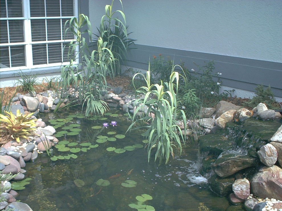 This is an example of a mid-sized transitional front yard stone pond in Miami.