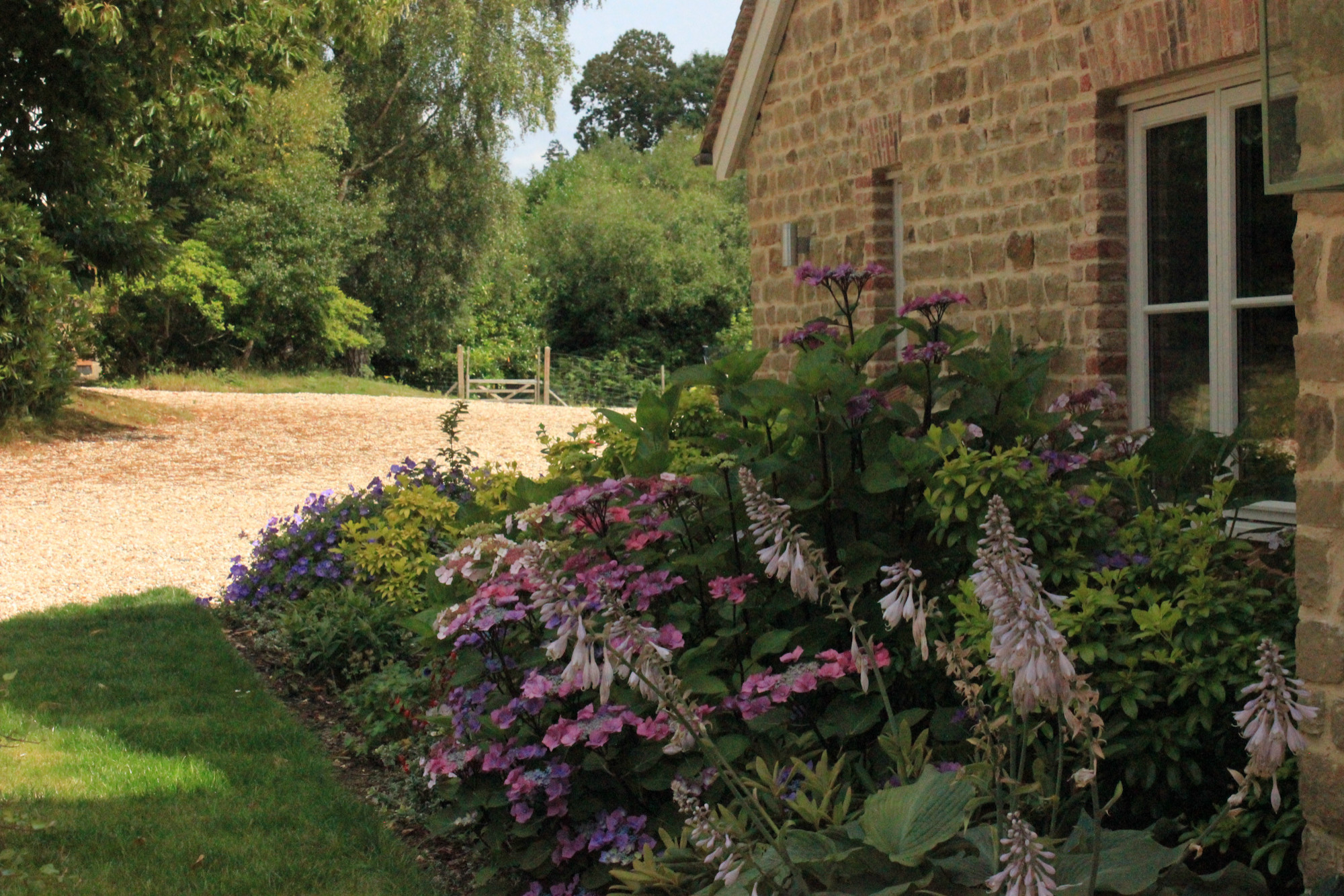 Planting at the front of the house