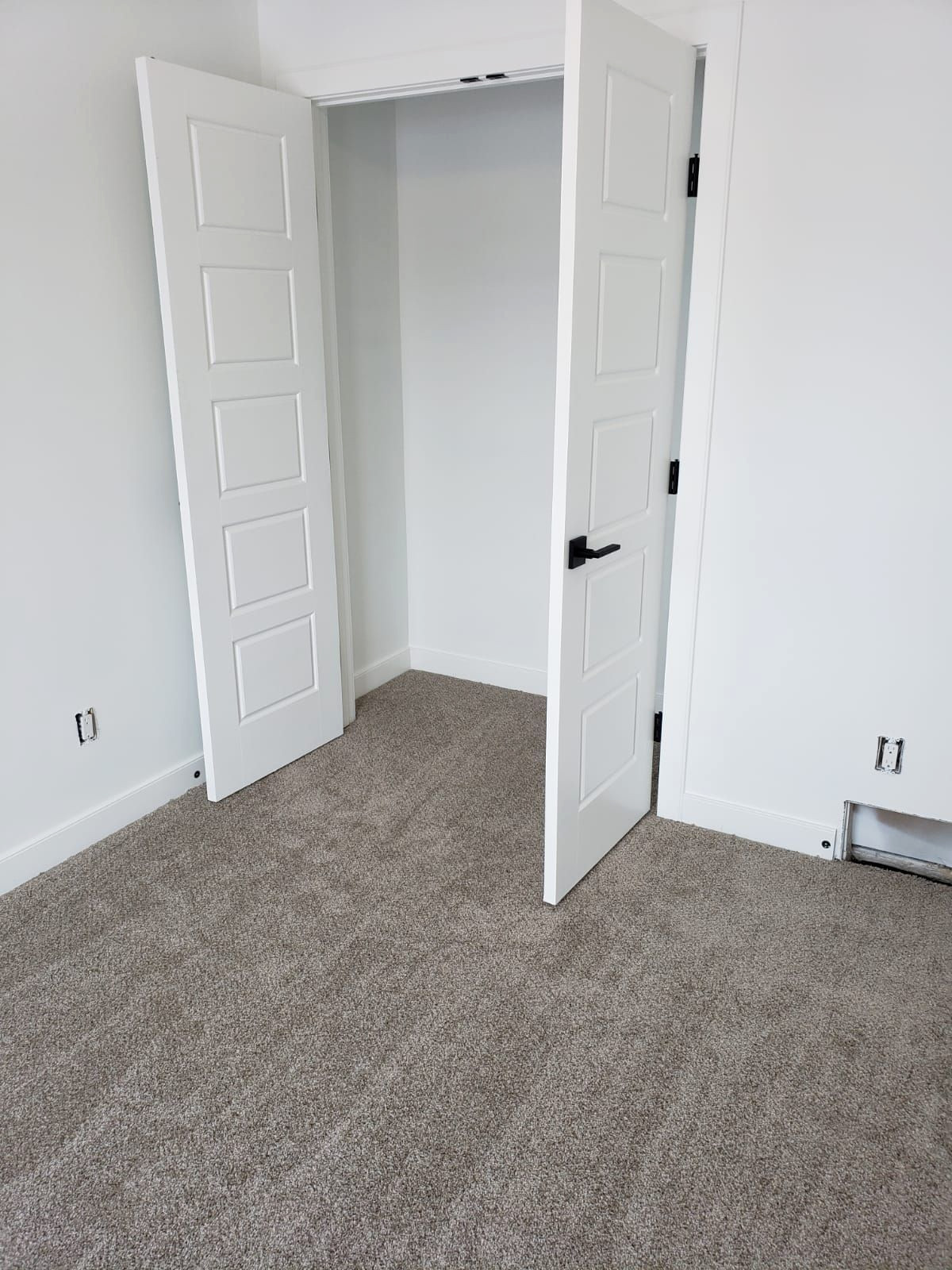 Carpet