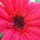 webuser_546308