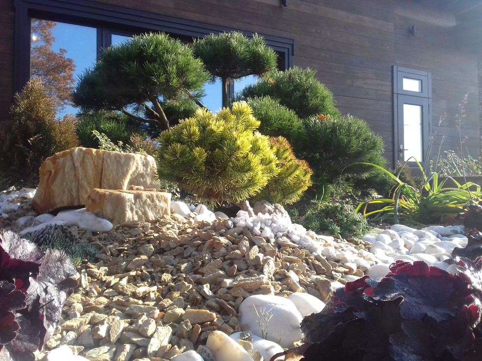 Дизайн клумбы с бонсаем