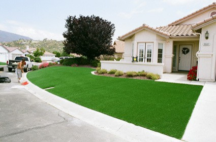 Artificial Turf