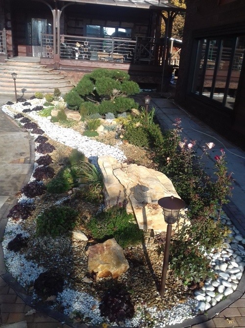 Дизайн клумбы с бонсаем