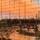 bradley_parker6904