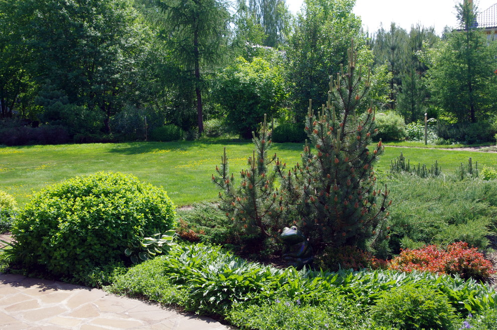 Композиция с горной сосной